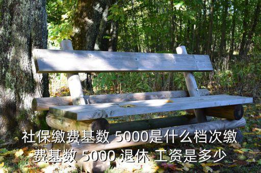 5000工資退休有多少,退休工資5000元是什么水平