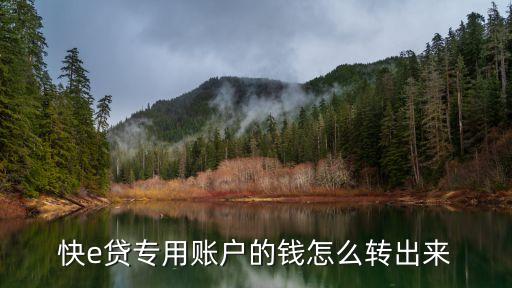 快e貸能取現(xiàn)多少錢