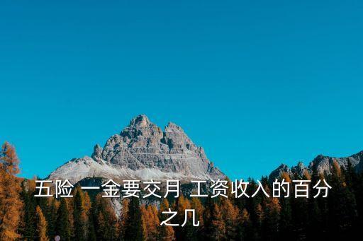  五險(xiǎn) 一金要交月 工資收入的百分之幾