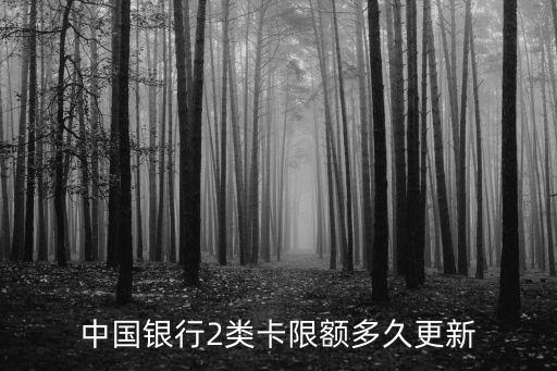 中行二卡怎么看額度多少,中行怎么看是不是一類(lèi)卡