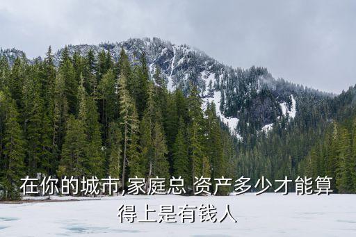 年收入100萬(wàn)資產(chǎn)多少合適