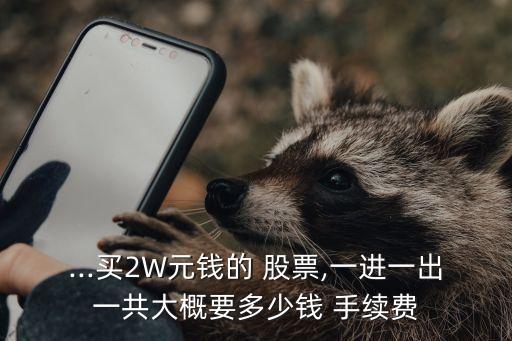...買2W元錢的 股票,一進(jìn)一出一共大概要多少錢 手續(xù)費(fèi)