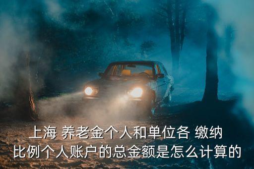  上海 養(yǎng)老金個人和單位各 繳納 比例個人賬戶的總金額是怎么計算的