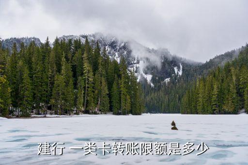 建行 一類卡轉(zhuǎn)賬限額是多少