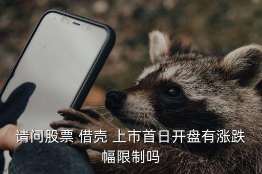 借殼上市能增發(fā)多少,360借殼上市的時候沒有增發(fā)股票嗎