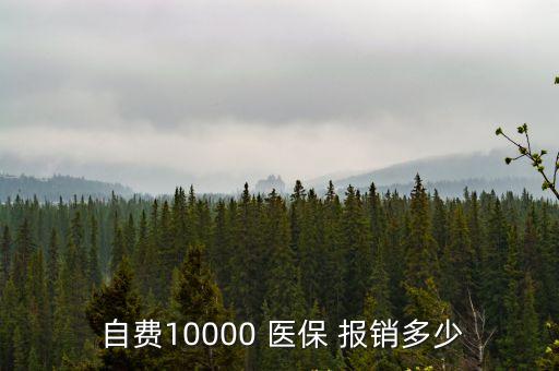  自費(fèi)10000 醫(yī)保 報(bào)銷多少