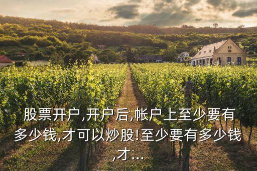  股票開戶,開戶后,帳戶上至少要有多少錢,才可以炒股!至少要有多少錢,才...