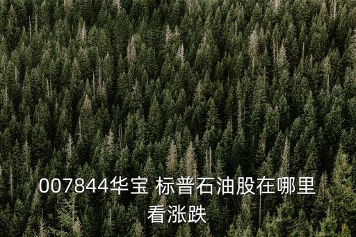 標(biāo)普油氣指數(shù)最高多少錢,美國標(biāo)普油氣開采指數(shù)