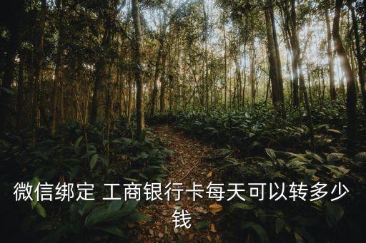 工商卡每日支付限額是多少錢(qián),工商一類(lèi)卡支付限額