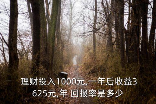  理財(cái)投入1000元,一年后收益3625元,年 回報(bào)率是多少