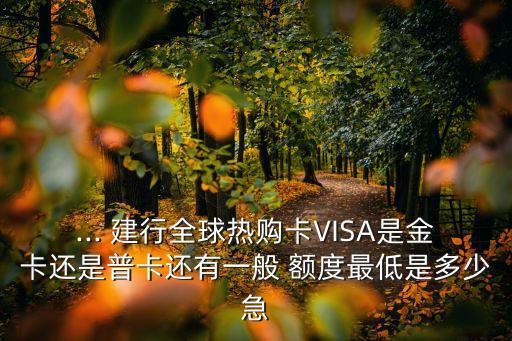 ... 建行全球熱購卡VISA是金卡還是普卡還有一般 額度最低是多少急