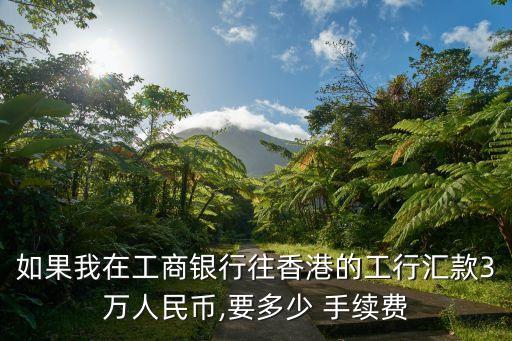 匯3萬手續(xù)費是多少錢,往澳洲匯1萬澳元手續(xù)費