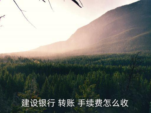 建設(shè)銀行 轉(zhuǎn)賬 手續(xù)費(fèi)怎么收