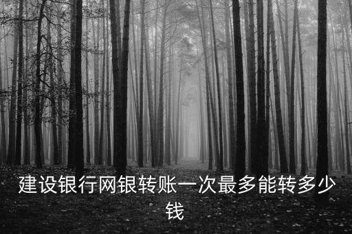  建設(shè)銀行網(wǎng)銀轉(zhuǎn)賬一次最多能轉(zhuǎn)多少錢