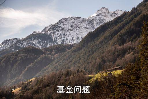 基金易方達(dá)價(jià)值成長今日凈值是多少,易方達(dá)價(jià)值成長110010基金凈值