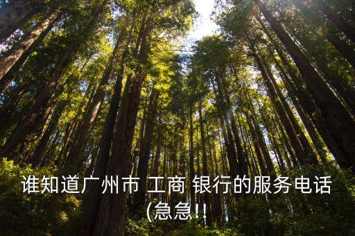 誰知道廣州市 工商 銀行的服務(wù)電話(急急!!