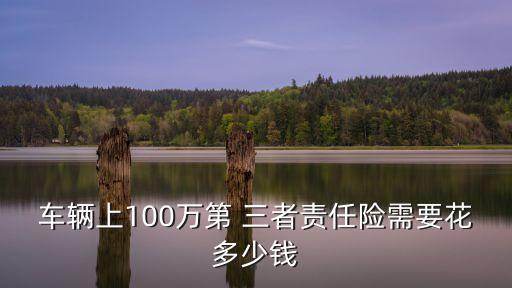 車輛上100萬第 三者責(zé)任險(xiǎn)需要花多少錢