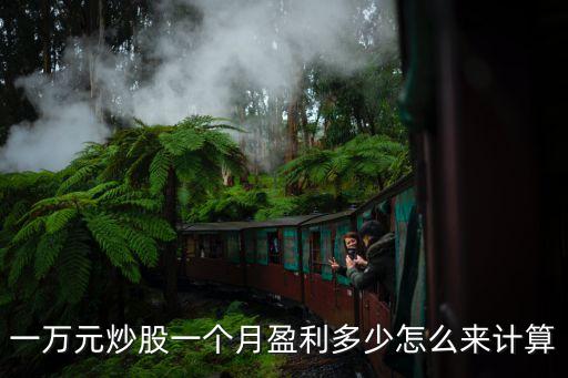 100000塊股票能賺多少