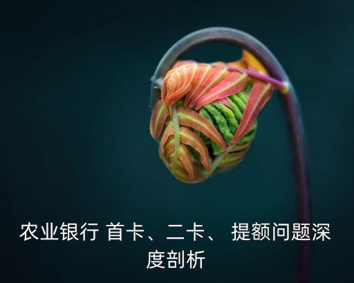 農(nóng)業(yè)銀行 首卡、二卡、 提額問題深度剖析