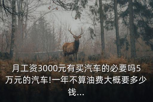 月工資3000元有買汽車的必要嗎5萬元的汽車!一年不算油費大概要多少錢...
