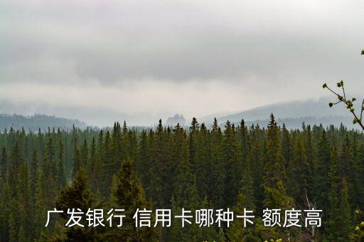  廣發(fā)銀行 信用卡哪種卡 額度高