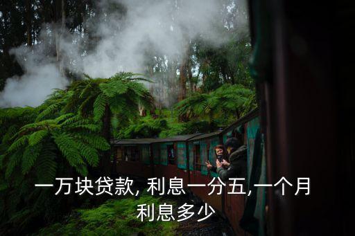 一萬塊貸款, 利息一分五,一個(gè)月 利息多少