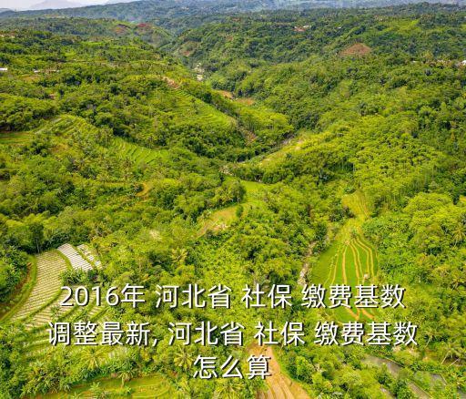 2016年 河北省 社保 繳費(fèi)基數(shù)調(diào)整最新, 河北省 社保 繳費(fèi)基數(shù)怎么算