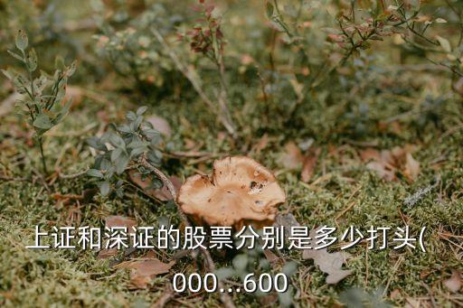 上證和深證的股票分別是多少打頭( 000...600