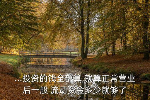 ...投資的錢全部算,就算正常營業(yè)后一般 流動(dòng)資金多少就夠了