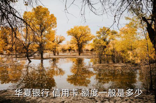 華夏標準白金信用卡額度是多少時間,華夏尊尚白金信用卡額度