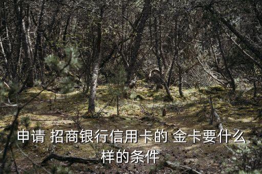 申請 招商銀行信用卡的 金卡要什么樣的條件