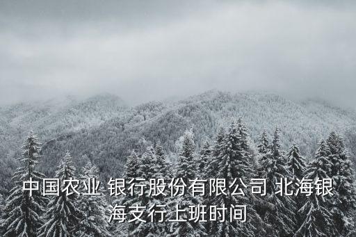 中國農(nóng)業(yè) 銀行股份有限公司 北海銀海支行上班時間