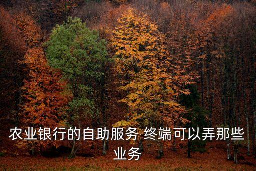 農(nóng)業(yè)銀行的自助服務(wù) 終端可以弄那些業(yè)務(wù)