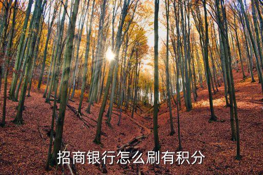 招商銀行怎么刷有積分