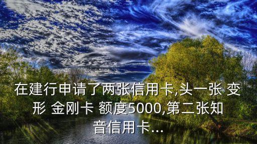 變形金剛銀聯(lián)金卡額度是多少錢(qián),建行變形金剛大黃蜂c金卡額度多少