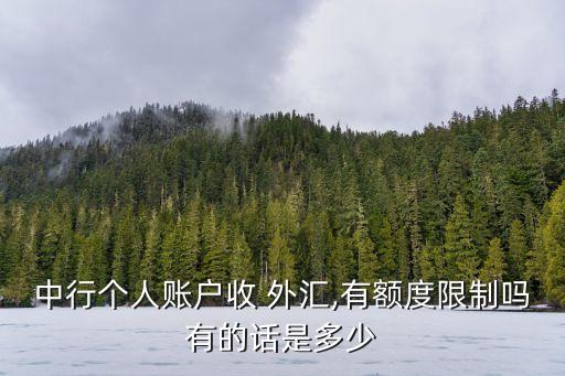 中國(guó)銀行每天外匯美金多少,外匯美金到中國(guó)銀行遲遲不入賬怎么辦