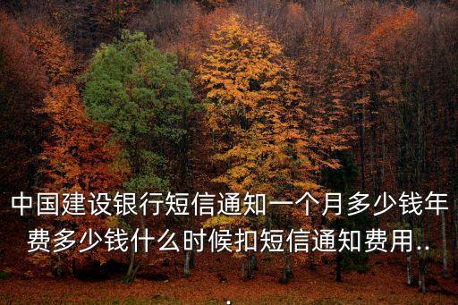 中國銀行卡信息費多少,銀行卡信息費多少錢一個月