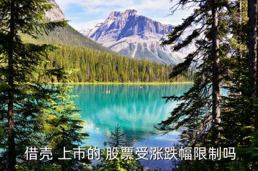  借殼 上市的 股票受漲跌幅限制嗎