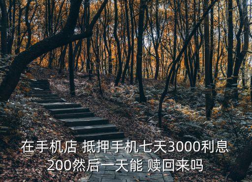 抵押物品贖回要多少錢,物品抵押