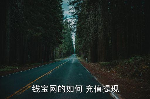  錢寶網(wǎng)的如何 充值提現(xiàn)