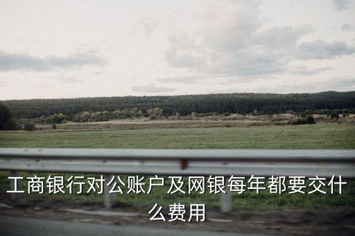 工商銀行對公賬戶及網(wǎng)銀每年都要交什么費用