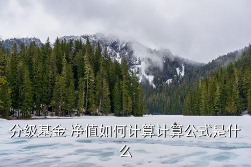 150029凈值多少下折