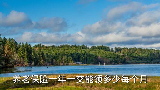 養(yǎng)老保險一年一交能領多少每個月