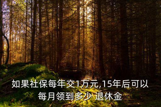 如果社保每年交1萬元,15年后可以每月領(lǐng)到多少 退休金