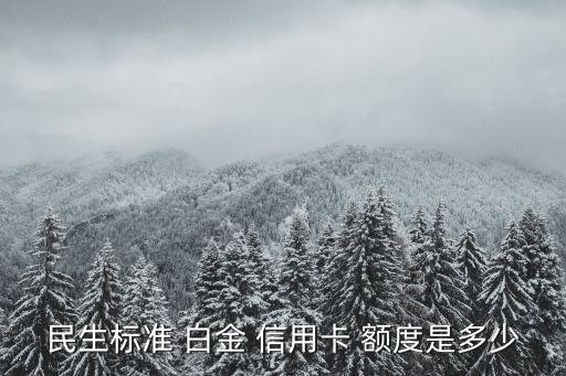 民生標(biāo)準(zhǔn) 白金 信用卡 額度是多少