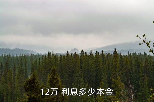 12萬(wàn) 利息多少本金