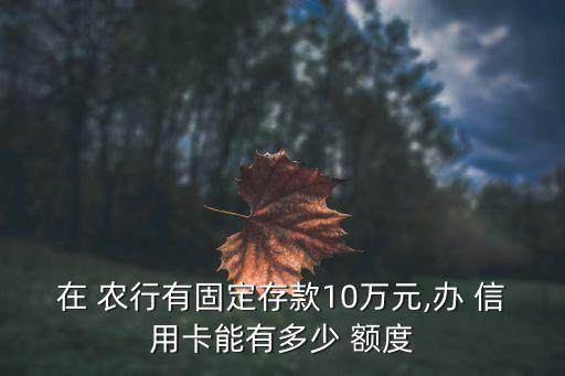 在 農行有固定存款10萬元,辦 信用卡能有多少 額度
