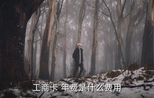 工商卡 年費(fèi)是什么費(fèi)用
