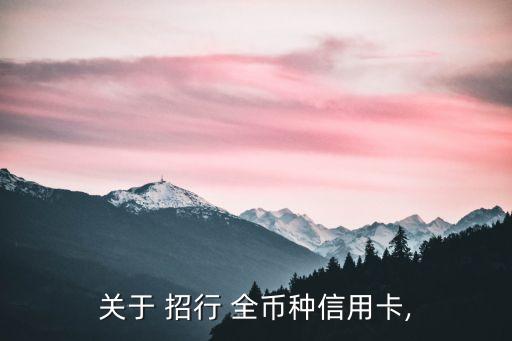 關(guān)于 招行 全幣種信用卡,