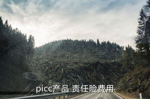 picc產(chǎn)品 責(zé)任險(xiǎn)費(fèi)用